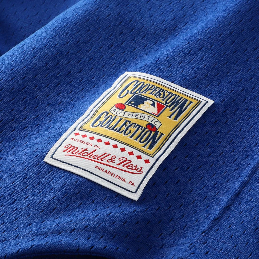 Ken Griffey Jr. Seattle Mariners Mitchell & Ness Authentic Batting Practice Jersey - Royal