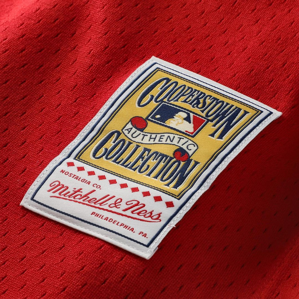 Johnny Bench Cincinnati Reds Mitchell & Ness Authentic Batting Practice Jersey - Scarlet