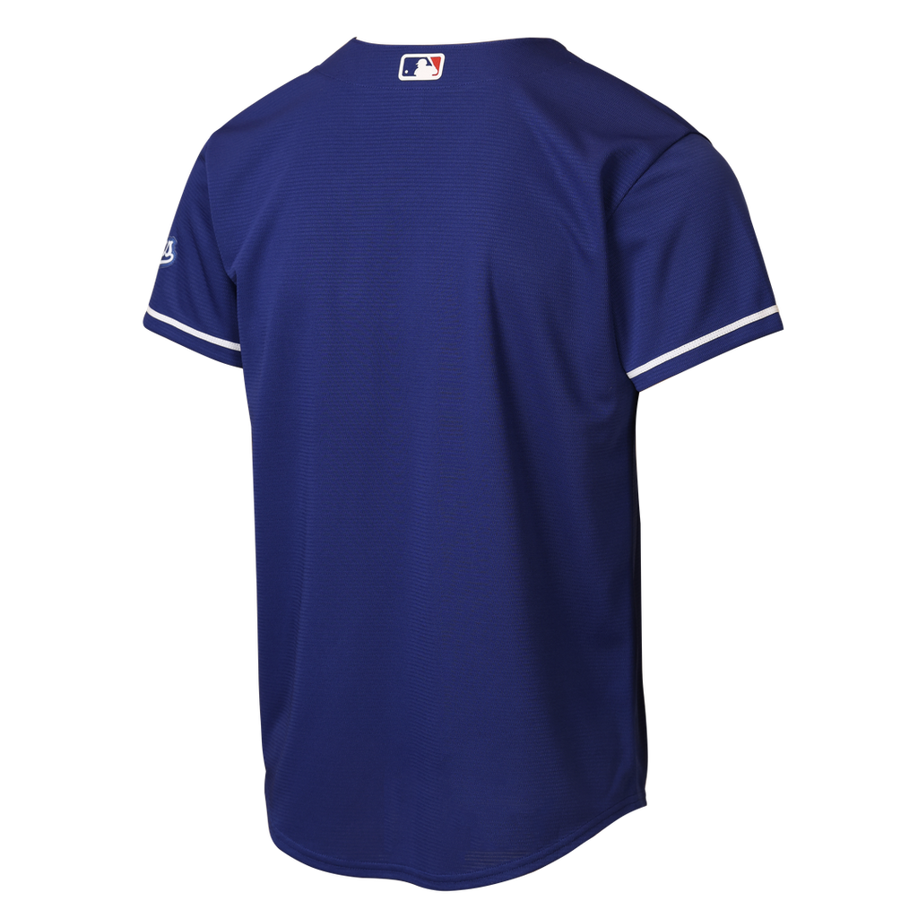 Los Angeles Dodgers Nike Youth Alternate 2 Stadium Jersey - Royal