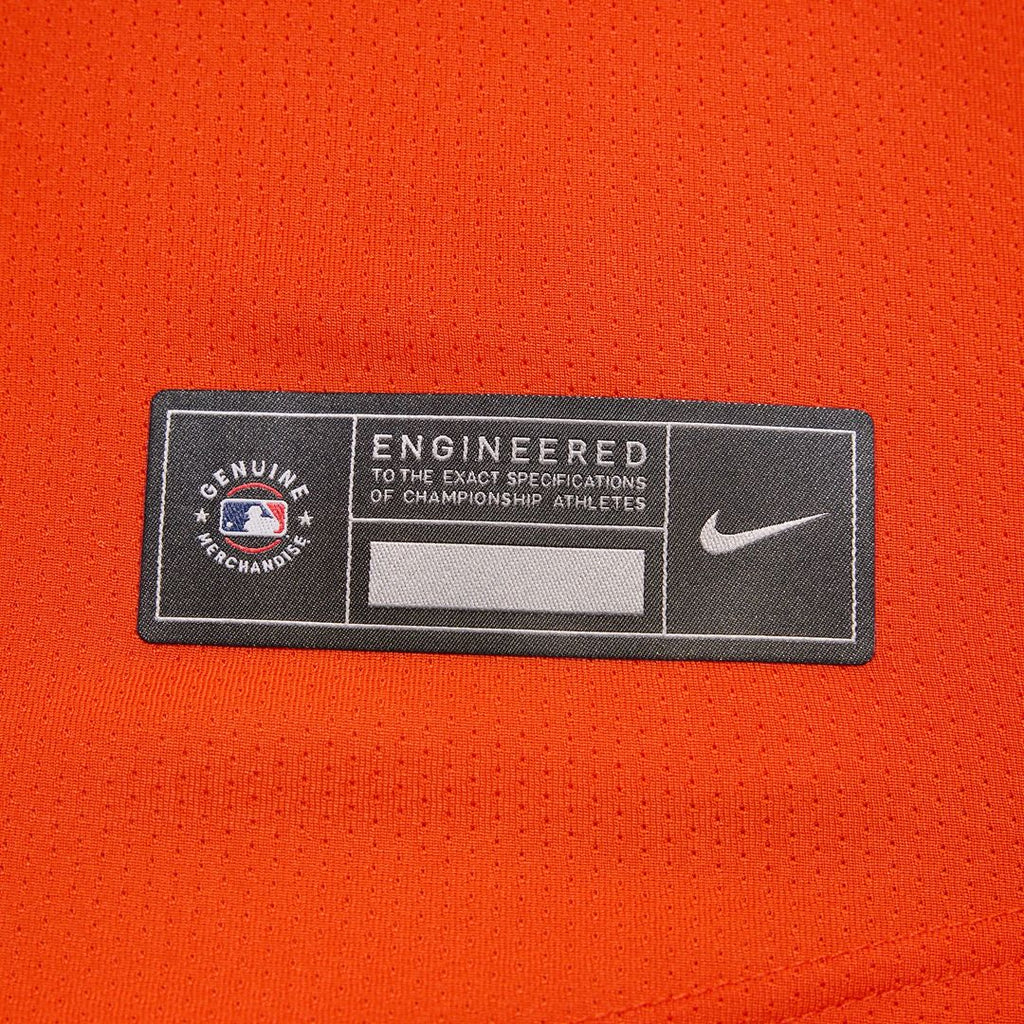 Adley Rutschman Baltimore Orioles Nike Road Limited Player Jersey - Gray