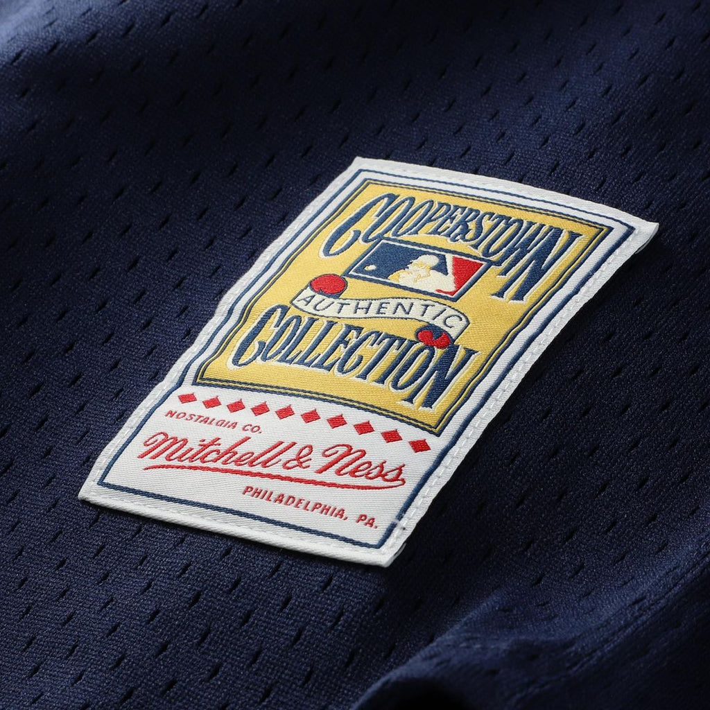 Carlton Fisk Chicago White Sox Mitchell & Ness Authentic Batting Practice Jersey - Navy